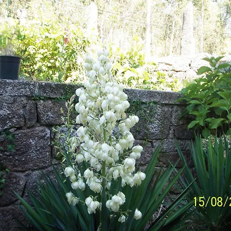 图力士姆彼德戈里弗斯乡村民宿 乡村民宿 博伊罗