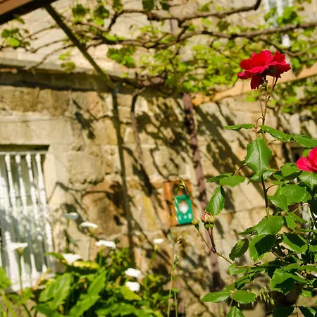 Landhaus Casa De Os Petroglifos