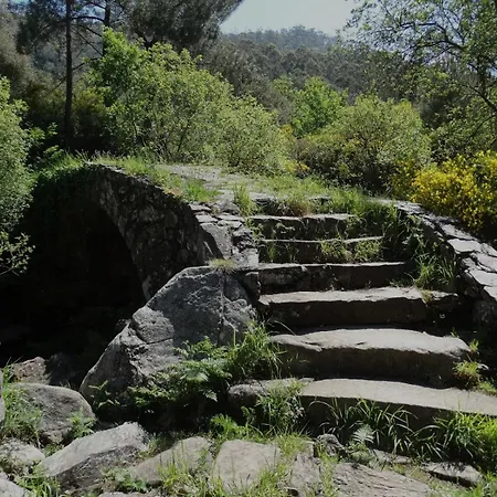 Casa De Os Petroglifos