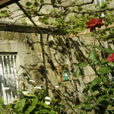 Casa di campagna Casa De Os Petroglifos Boiro
