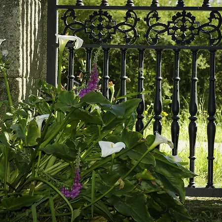 图力士姆彼德戈里弗斯乡村民宿 乡村民宿 *