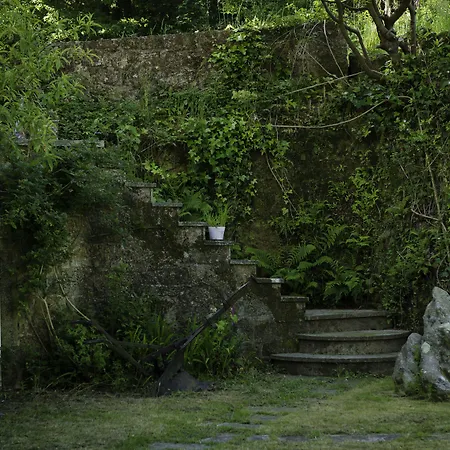 Casa De Os Petroglifos * Boiro