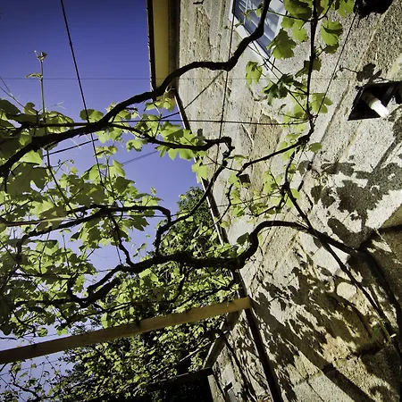 图力士姆彼德戈里弗斯乡村民宿 乡村民宿